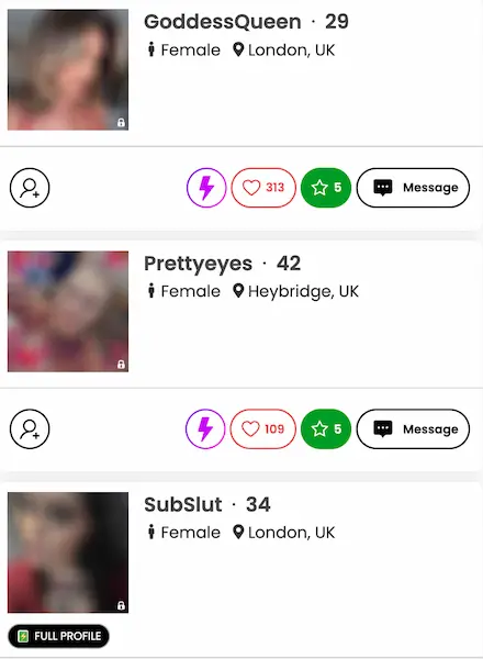 BDSM Connex member profiles with interests, locations, and activity stats